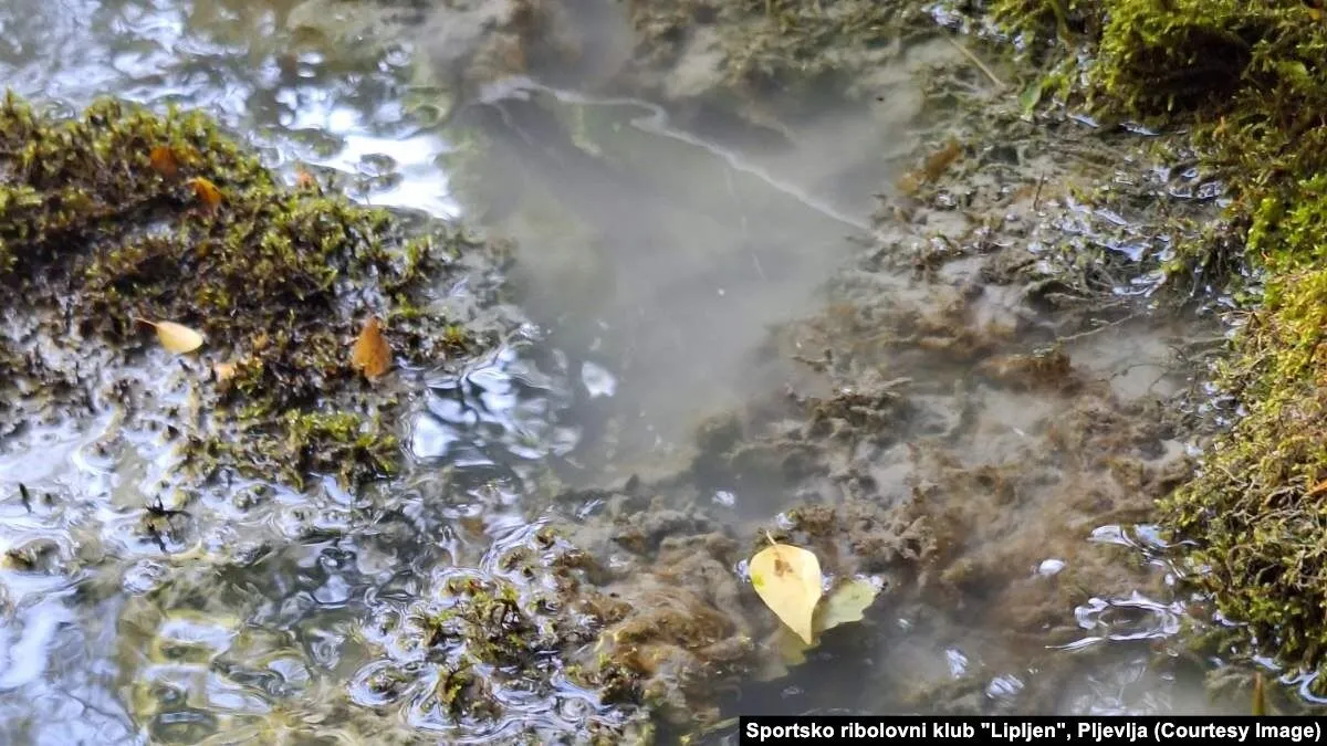 Prekogranični incident: Otrovne materije s jalovišta u Pljevljima rijekom stigle do Foče u BiH