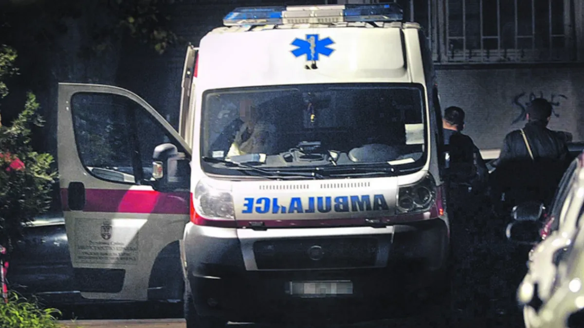 Drama u Beogradu: Zebra pobjegla iz Zoo vrta pa povrijedila muškarca i dijete