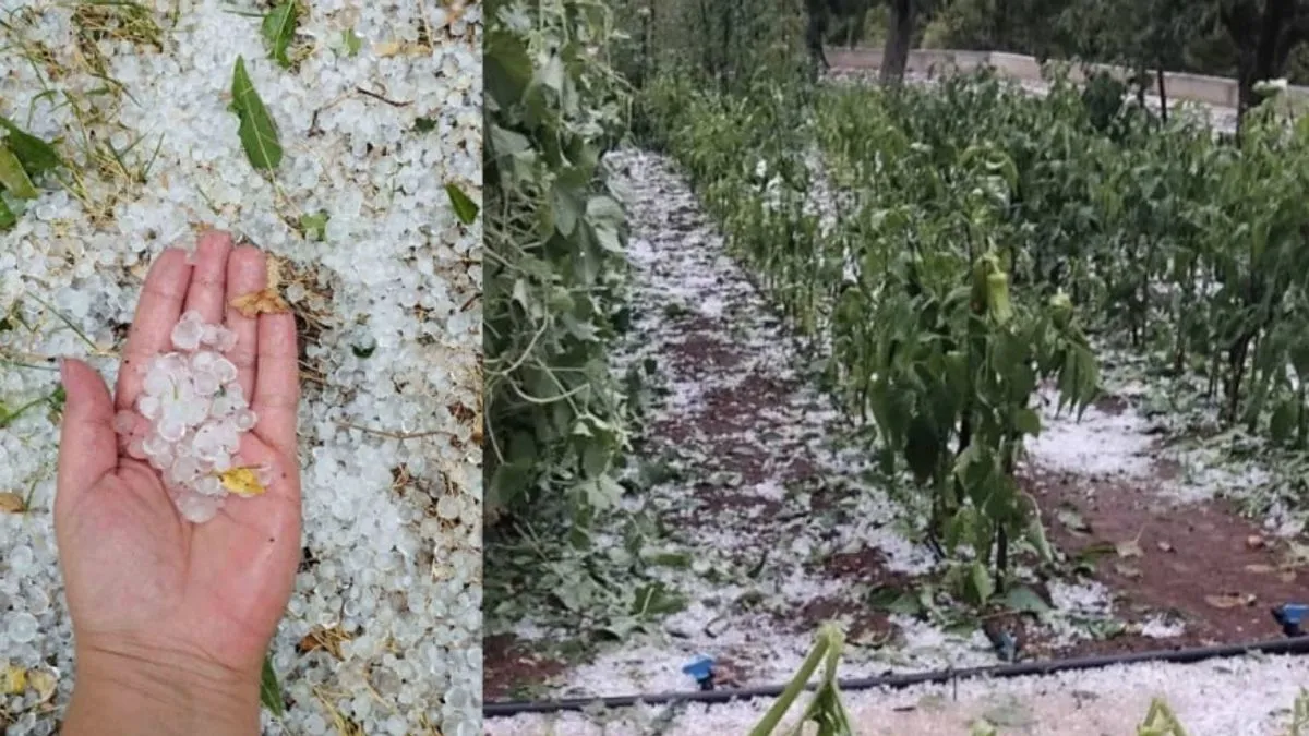 Kako otkrivaju mještani, grad je pogodio jedan dio sela, dok su ostali zaseoci prošli bez značajne štete