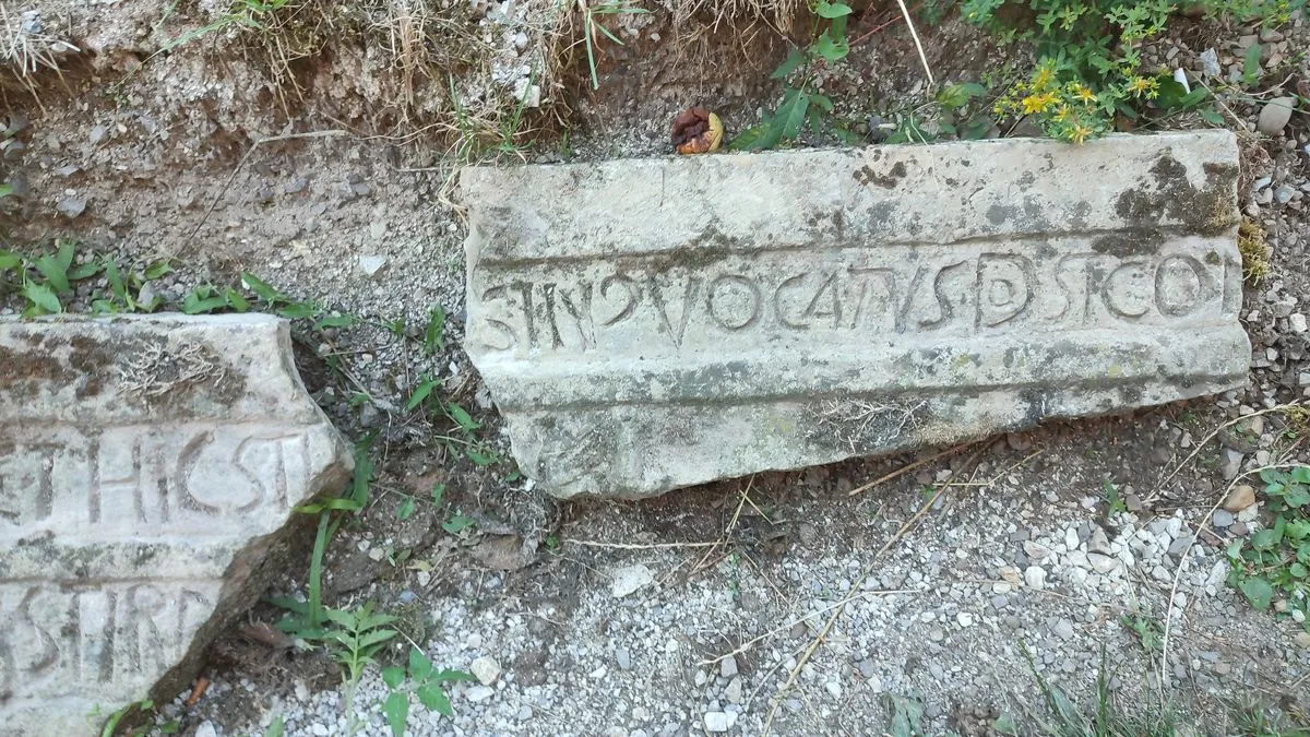 Pojašnjava i da su japodske gradine specifične po tzv. lingulama jezičastim konfiguracijama terena.