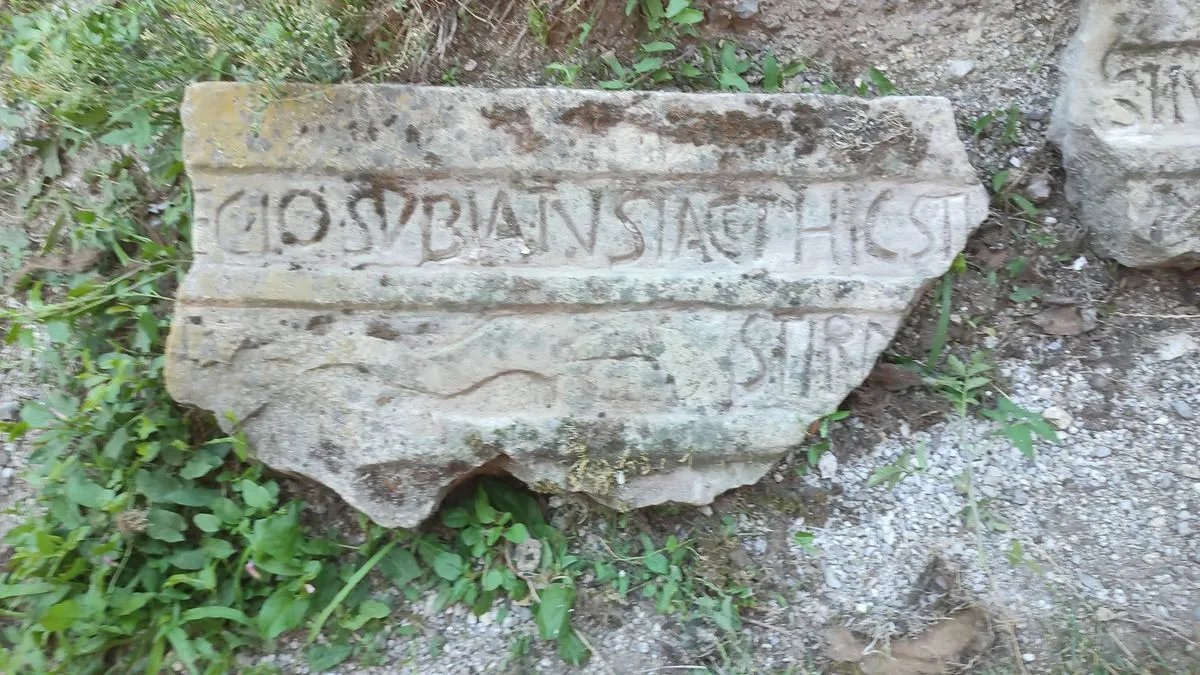 Pojašnjava i da su japodske gradine specifične po tzv. lingulama jezičastim konfiguracijama terena.