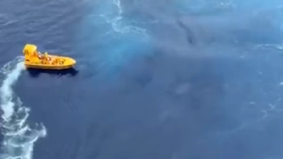 Prema pisanju New York Posta, otac je oko 20 minuta držao djevojčicu iznad vode dok nije stigla pomoć.