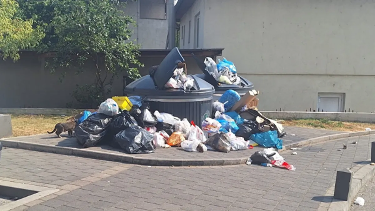 Prizori prepunih kontejnera, razbacanih vreća smeća po trotoarima i zapuštenih zelenih površina postali su svakodnevnica u Sarajevu