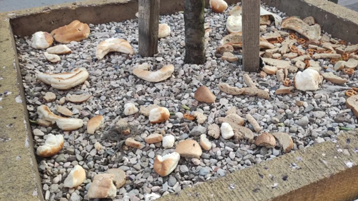 Pravo na čistoću nije luksuz: Prebacivanje odgovornosti umjesto konkretnih mjera