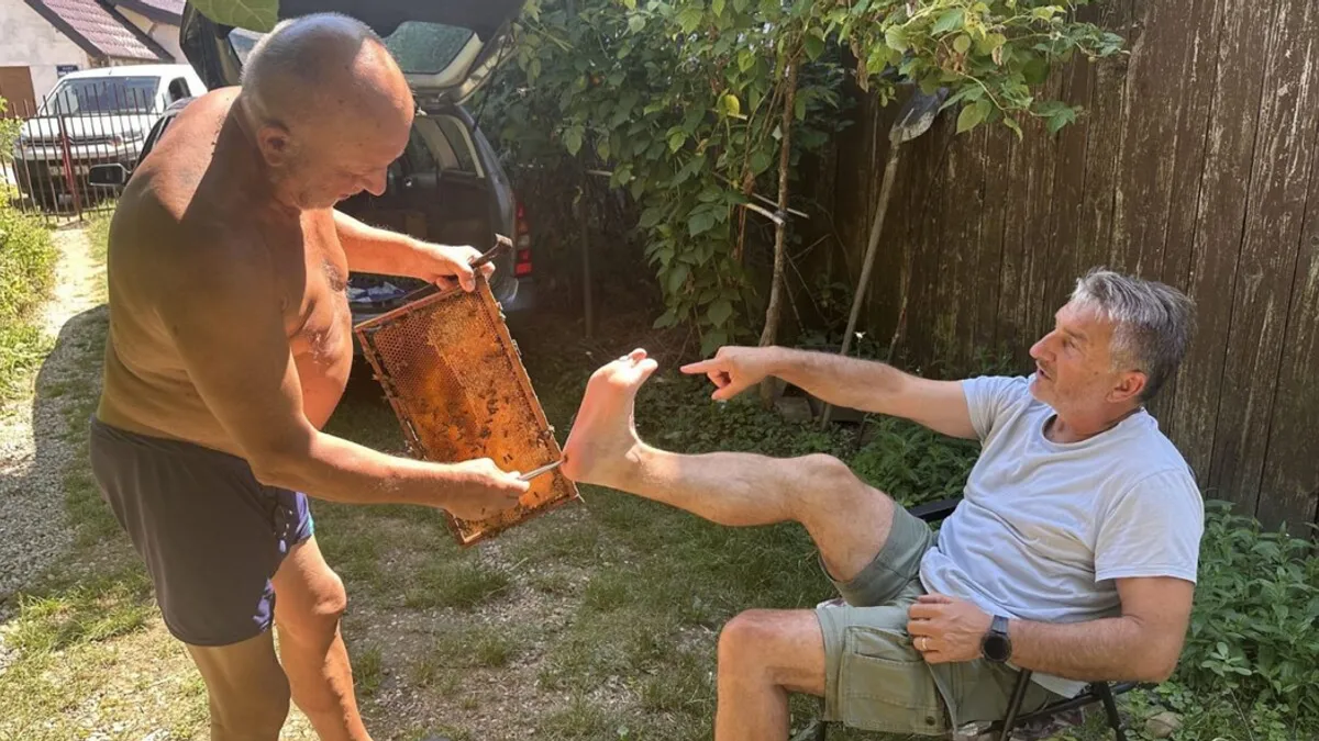 Danas sve više naučnih dokaza ukazuje na to da različiti pčelinji proizvodi potiču zacjeljivanje.