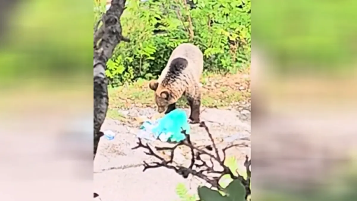 Medvjed ih, kažu, posjećuje već mjesec dana i nije im svejedno jer je riječ o naseljenom području s mnogo djece i turista.