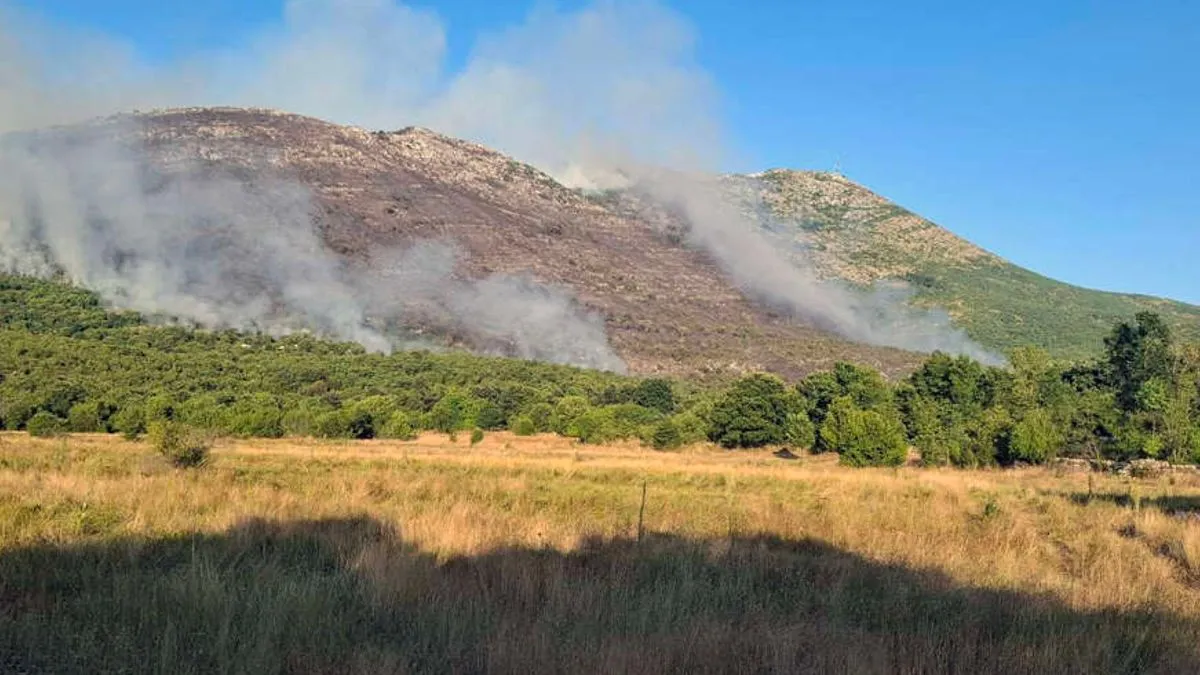 Gašenje vatre vatrogascima otežava jak vjetar, kao i nepristupačan teren