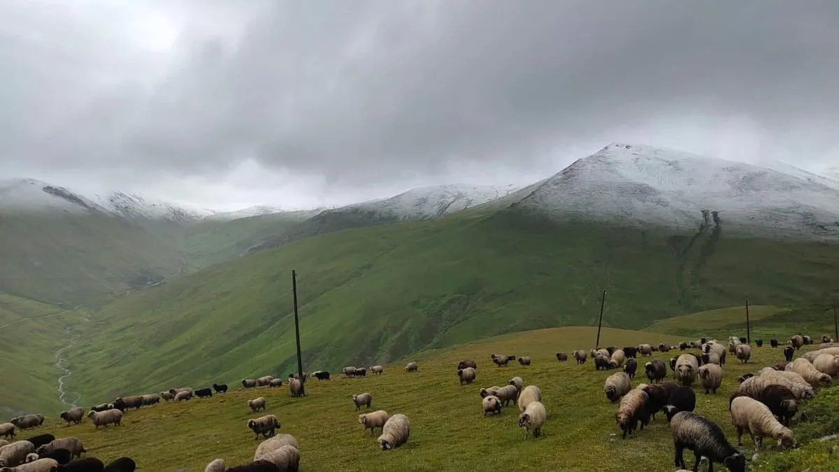 Snijeg je obijelio mnoge visoravni u ovom dijelu Turske, uključujući Anzer u okrugu İkizdere i Kavron i Samistal u okrugu Çamlıhemşin