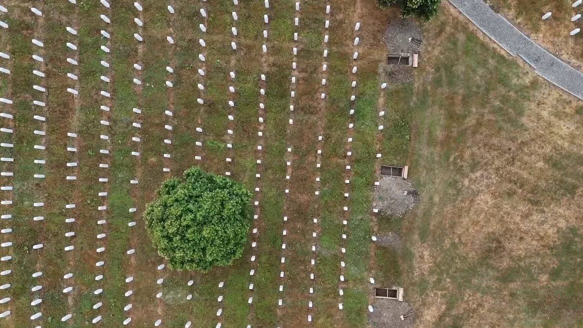 Žrtve potječu iz različitih općina, a najviše ih je s područja istočne Bosne i Hercegovine - Srebrenice, Bratunca, Vlasenice, Zvornika i Milića.