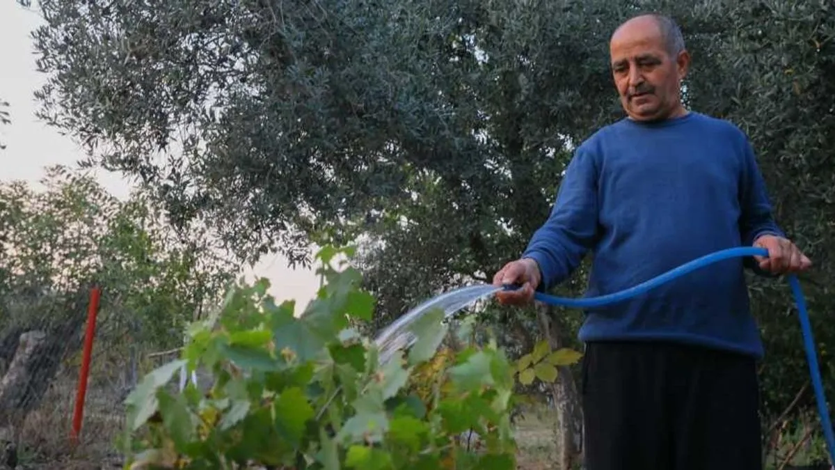 Biljkama je potrebna voda duboko u zoni korijena, a ne samo na lišću
