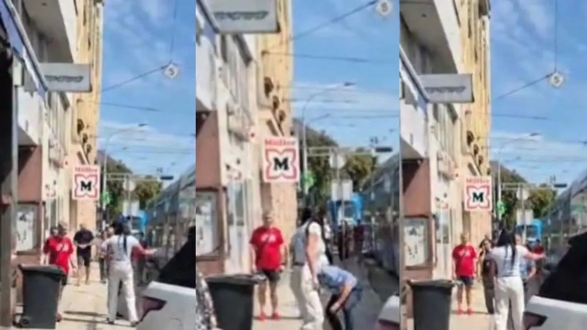 Policija ju je ubrzo privela, a na Općinskom prekršajnom sudu proglašena je krivom te kažnjena novčanom kaznom u iznosu od 790 eura