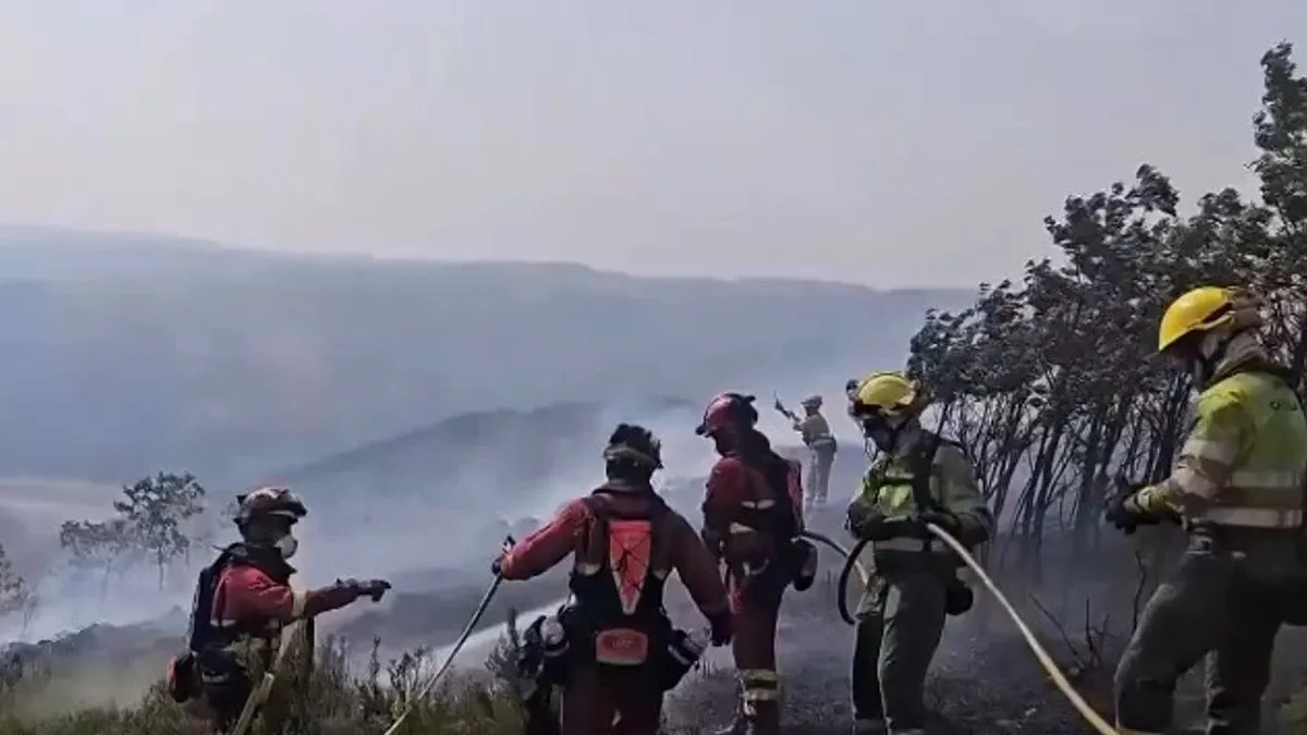 Dvadesetak požara, potaknutih 16-dnevnim toplotnim valom, poharalo je više od 115.000 hektara