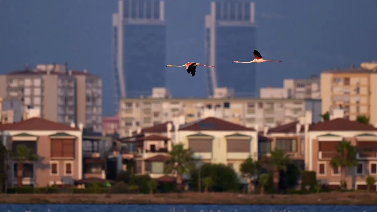 Delta je dom za više od 250 vrsta ptica, a zimi ugošćuje oko 80.000 ptica. 