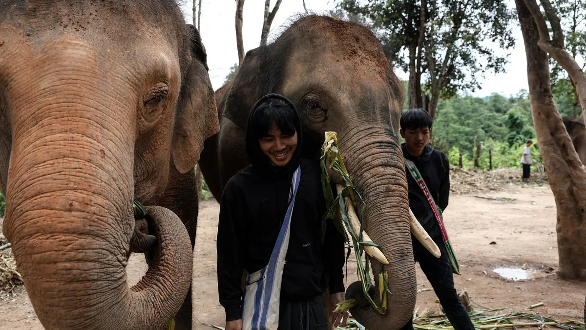 Selo slobode slonova - utočište koje je osnovao dugogodišnji čuvar slonova Non Chai - otvorilo je svoje imanje za posjetioce...