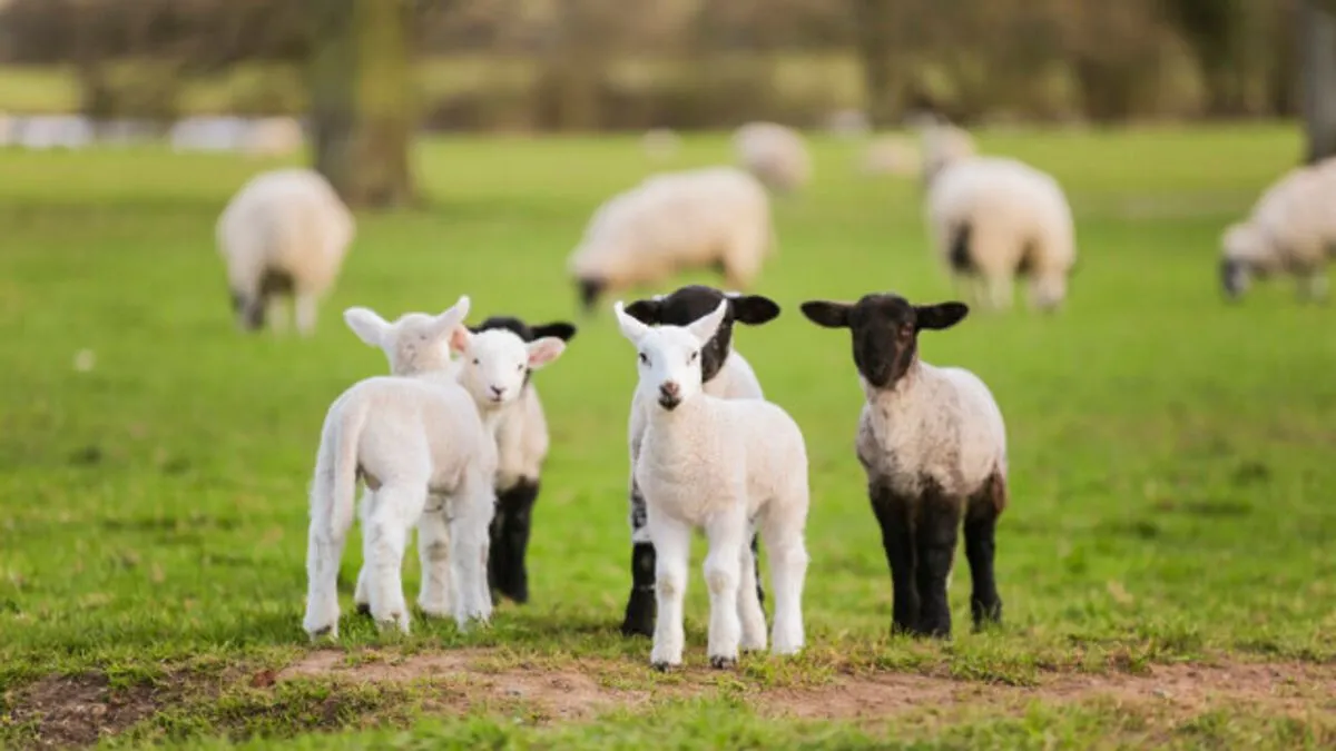 O događaju je obaviješteno Okružno javno tužilaštvo u Trebinju