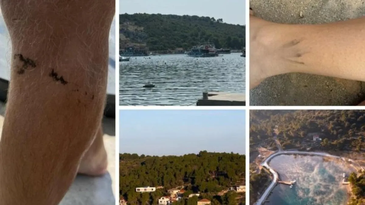 More je vidno onečišćeno masnim mrljama, crnim naslagama i drugim otpadnim tvarima