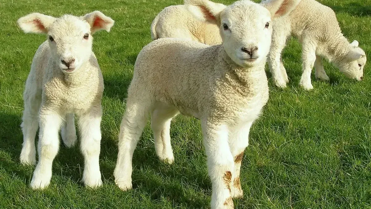 O događaju je obaviješteno Okružno javno tužilaštvo u Trebinju