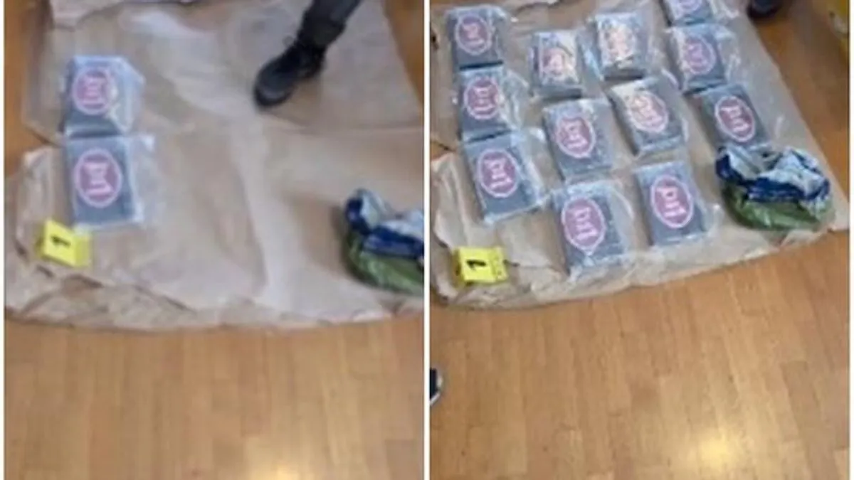 Ministar je dodao da je osumnjičenima je određeno zadržavanje do 48 sati nakon čega će, uz krivičnu prijavu, biti privedeni Višem javnom tužilaštvu u Beogradu.