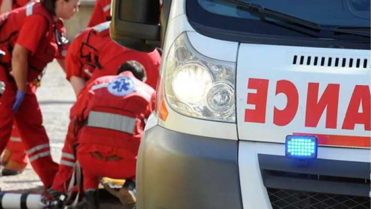 Žena je zadobila brojne ujede po rukama dok je beba izgrebana po tijelu