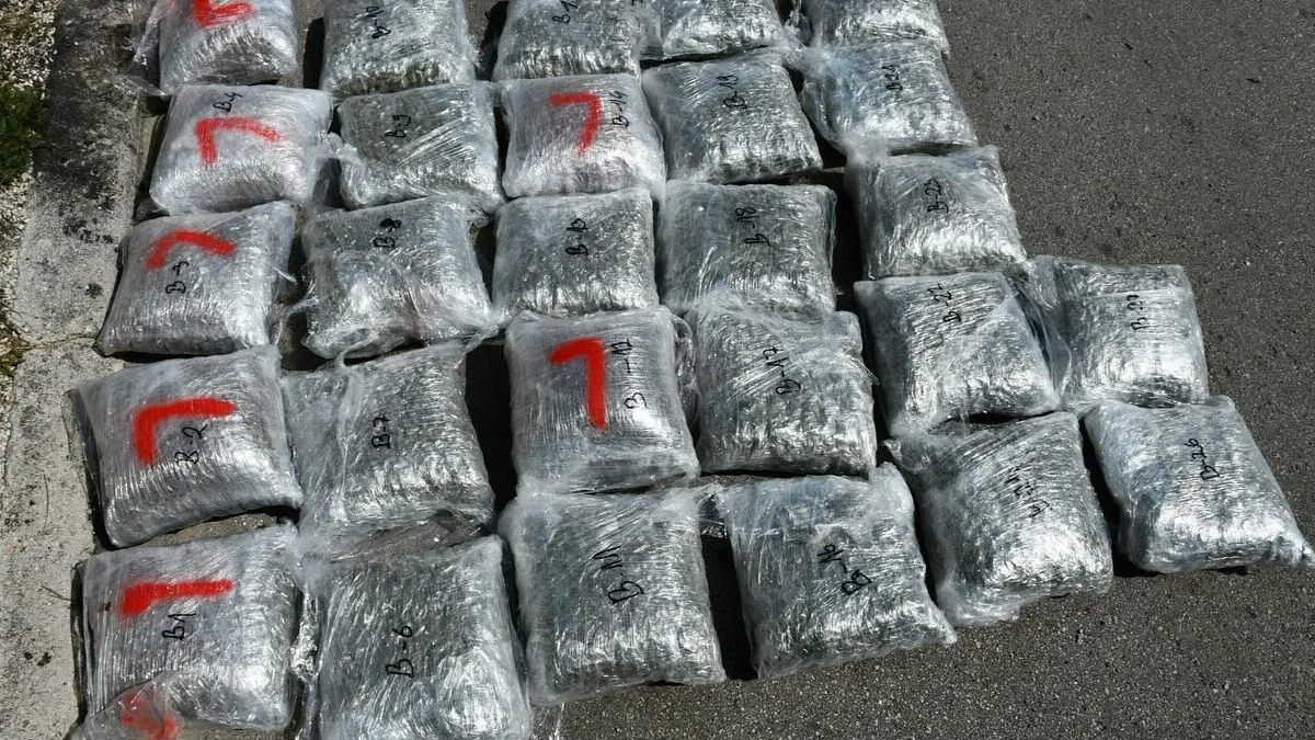 Svi privedeni, među kojima je i jedan maloljetnik, tokom dana biće predati u nadležnost Okružnog javnog tužilaštva.