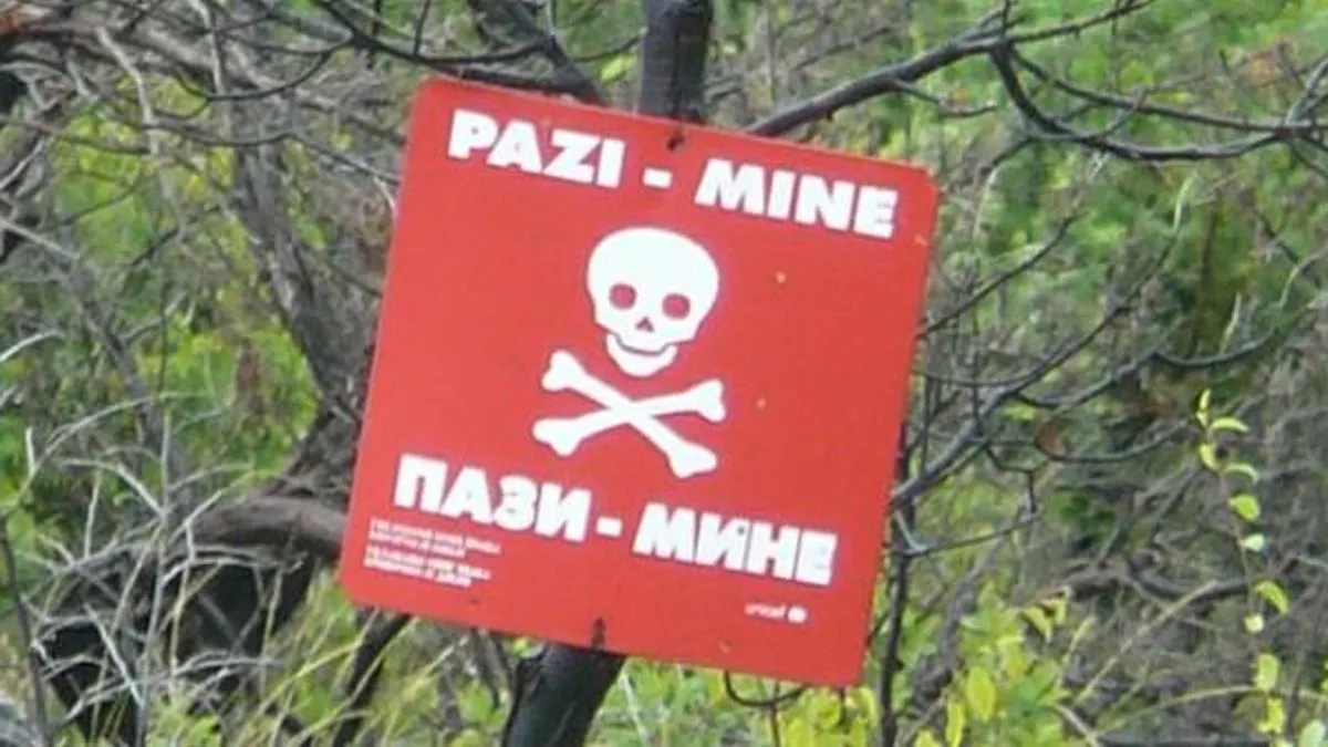 Izdahnuo je na mojim rukama: Mehmedov brat ispričao detalje tragedije