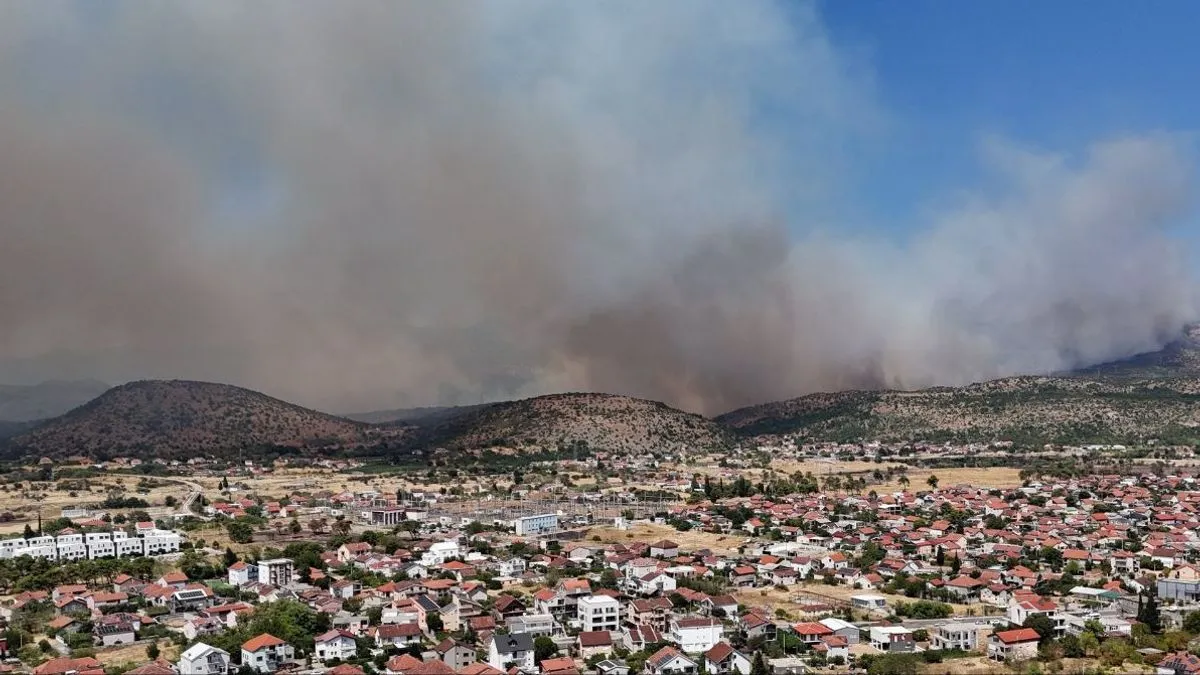 Gašenje požara otežava jak vjetar, a na terenu su i pripadnici Vojske Crne Gore.