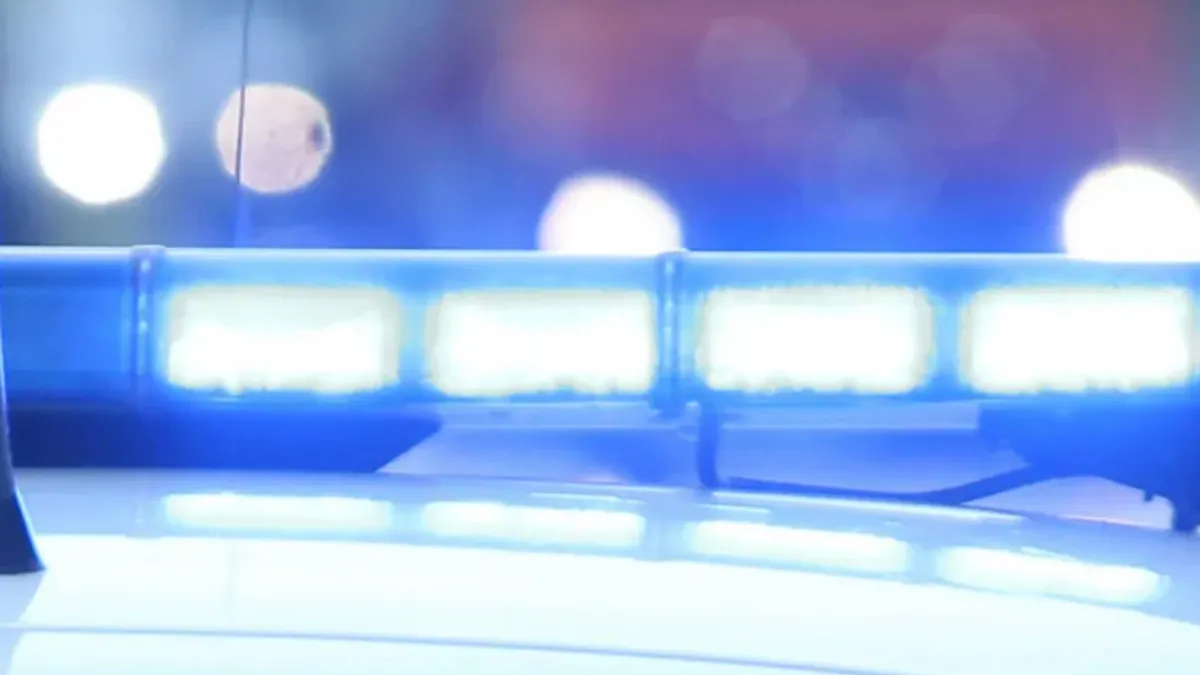 Zmija se je neko vrijeme vrpoljila u vazduhu, no nije ispala iz vozila