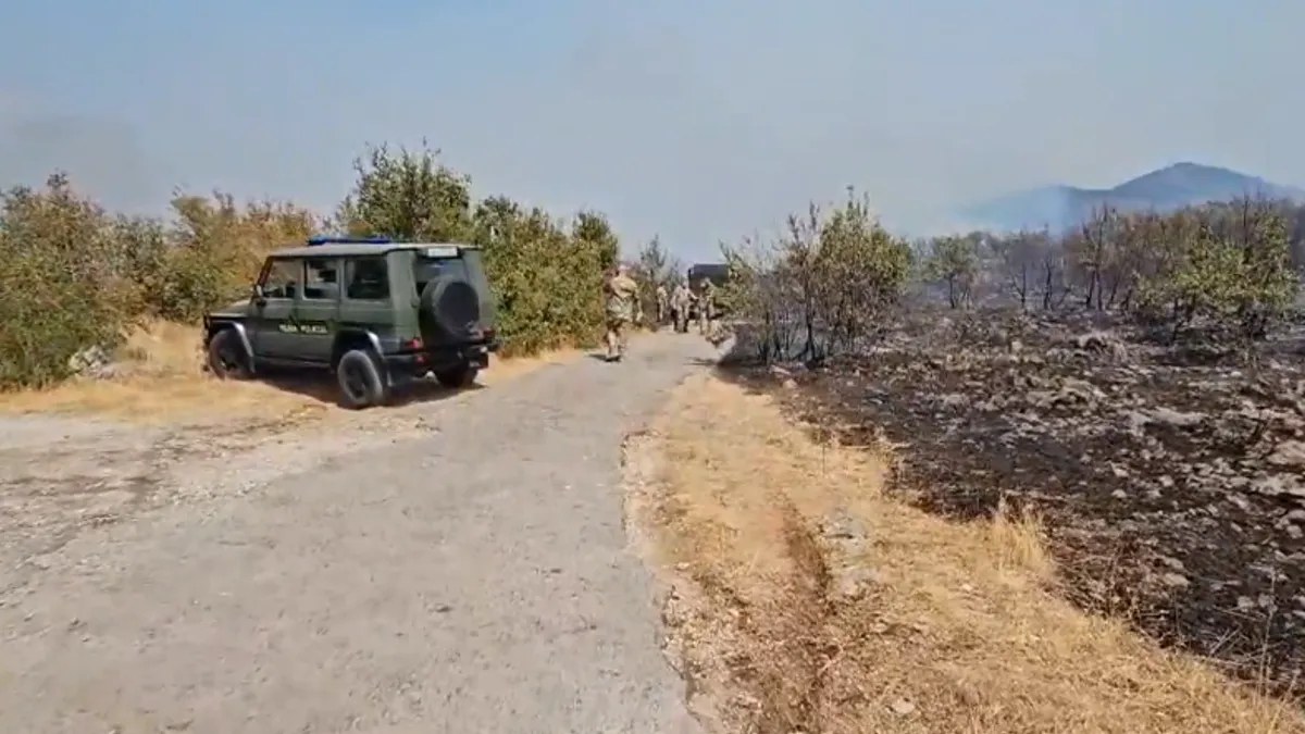 Božović je poginuo dok je bio angažovan na gašenju požara u rejonu Kuča u Crnoj Gori