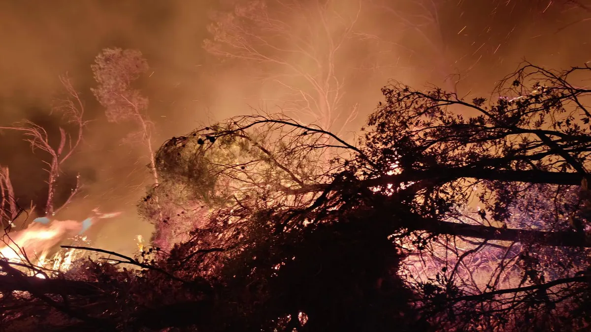 Cijelu noć i jutros puše vjetar koji rasplamsava vatru u borovoj šumi i otežava posao gasiteljima, rekli su vatrogasci