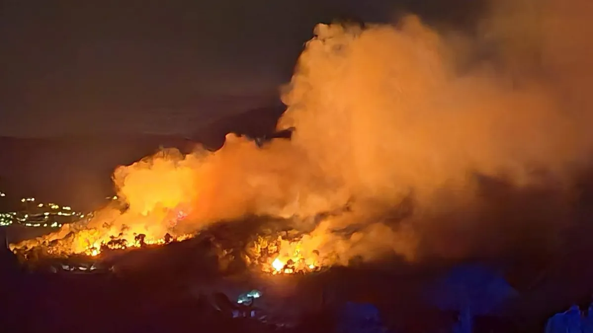 Cijelu noć i jutros puše vjetar koji rasplamsava vatru u borovoj šumi i otežava posao gasiteljima, rekli su vatrogasci