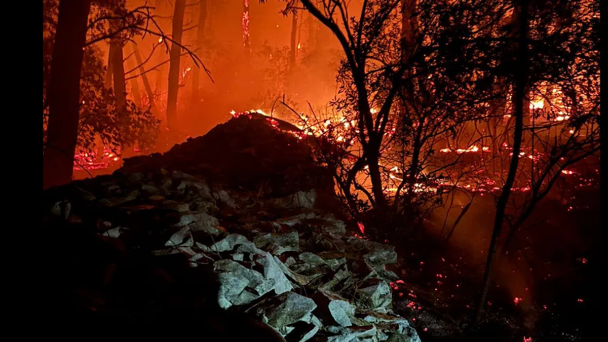 Cijelu noć i jutros puše vjetar koji rasplamsava vatru u borovoj šumi i otežava posao gasiteljima, rekli su vatrogasci
