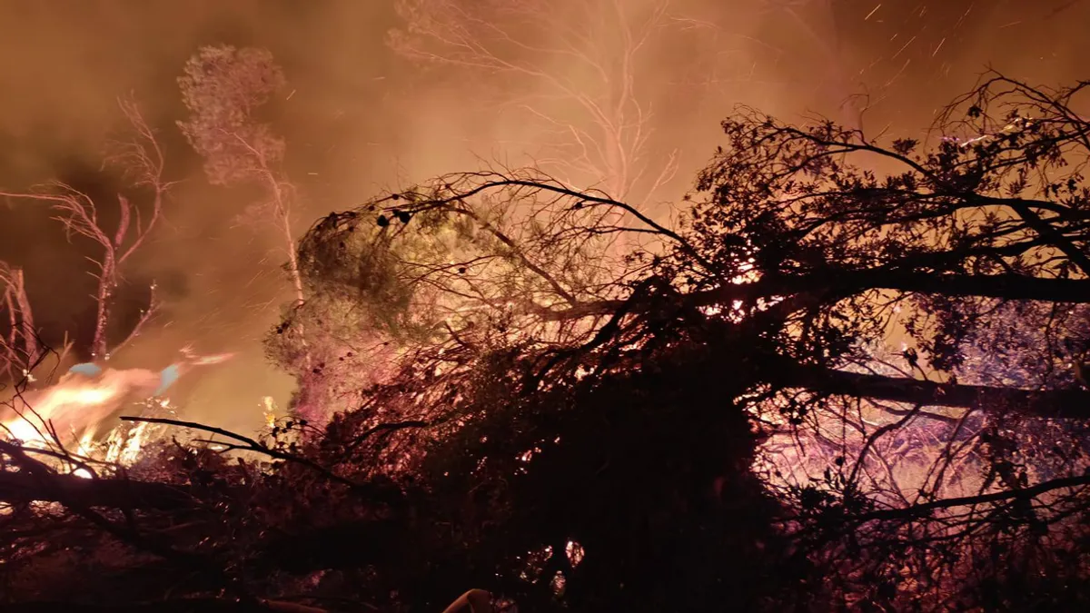 Cijelu noć i jutros puše vjetar koji rasplamsava vatru u borovoj šumi i otežava posao gasiteljima, rekli su vatrogasci