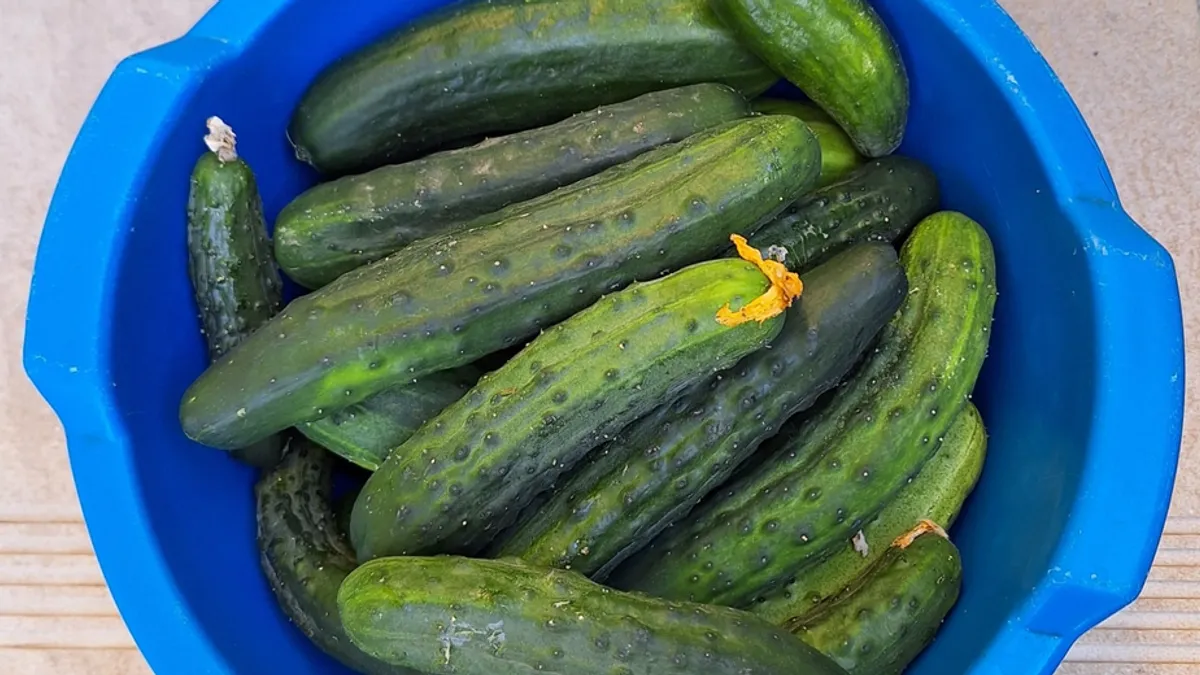 Uz sav mraz, hladnoću, kiše i suše, i sve ovogodišnje klimatske ekstreme, bašta je odlična, napisao je Fazla