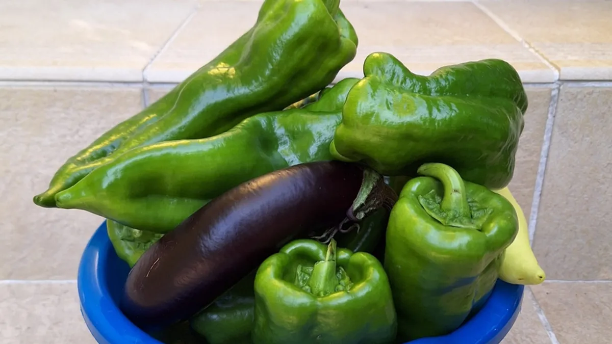 Uz sav mraz, hladnoću, kiše i suše, i sve ovogodišnje klimatske ekstreme, bašta je odlična, napisao je Fazla