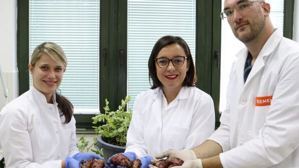 Ovaj postupak omogućava dobijanje zdravog, virusno čistog sjemenskog materijala