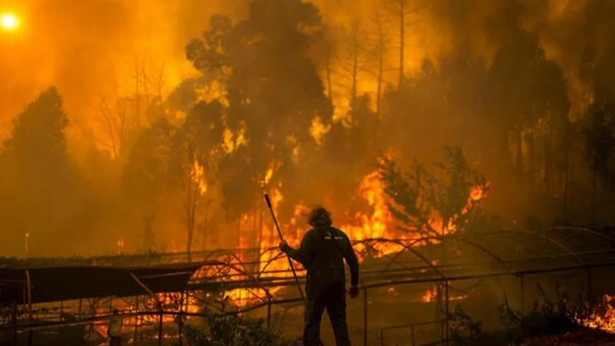 Dvadesetak požara, potaknutih 16-dnevnim toplotnim valom, poharalo je više od 115.000 hektara