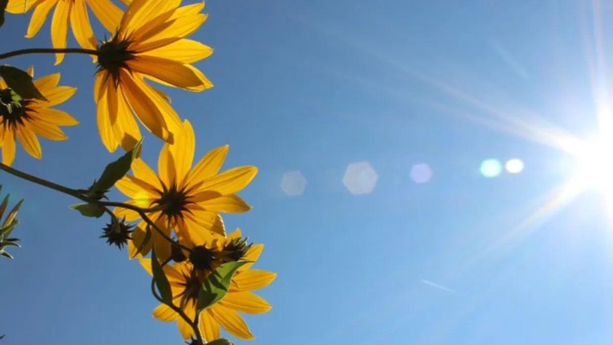 Jutra svježa uz lokalno duže zadržavanje magle i niske naoblake