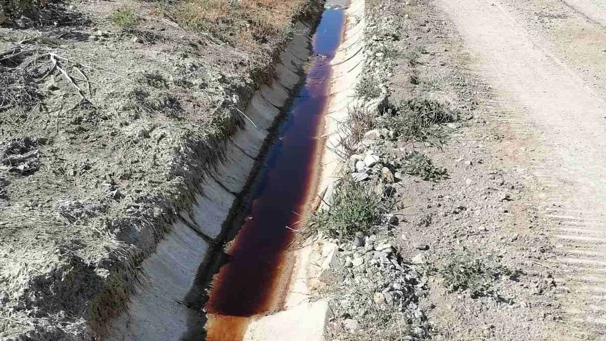 Snimci Zeničana demantuju gradonačelnika Fuada Kasumovića i direktoricu Miju Pojskić