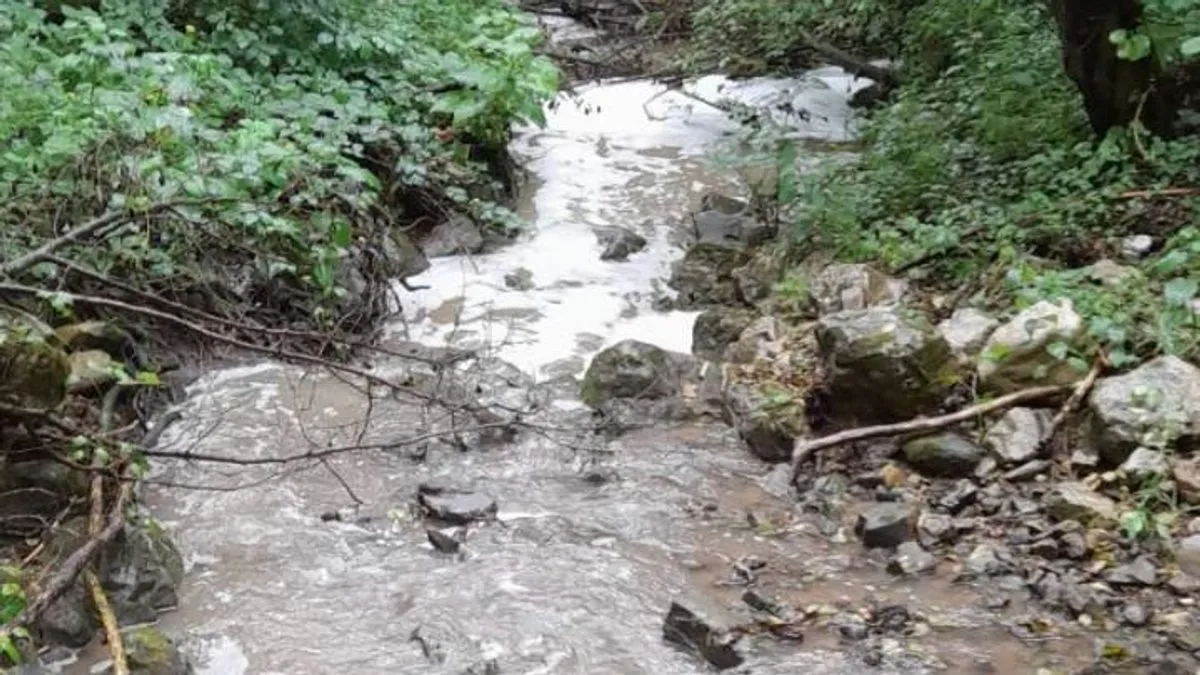 U Zenici ogorčeni na gradonačelnika Kasumovića: Ovo što se radi ugrožava zdravlje građana