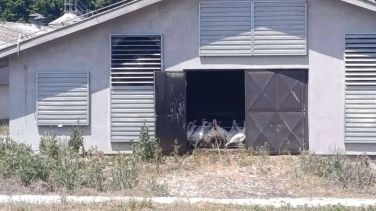 Ovaj uzgoj proizvodi otpadne materije, neugodne mirise, čestice u vazduhu i veliku količinu izmeta, što značajno ugrožava naše zdravlje.