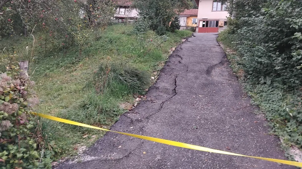 Šaljić upozorava na klizište: Vlada KS ima snagu, moć i brzinu baš kao onaj Lav u Pionirskoj!?