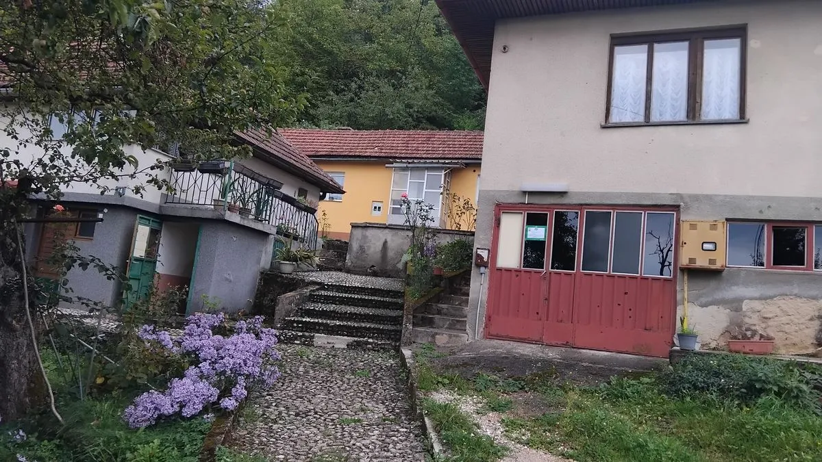 Šaljić upozorava na klizište: Vlada KS ima snagu, moć i brzinu baš kao onaj Lav u Pionirskoj!?