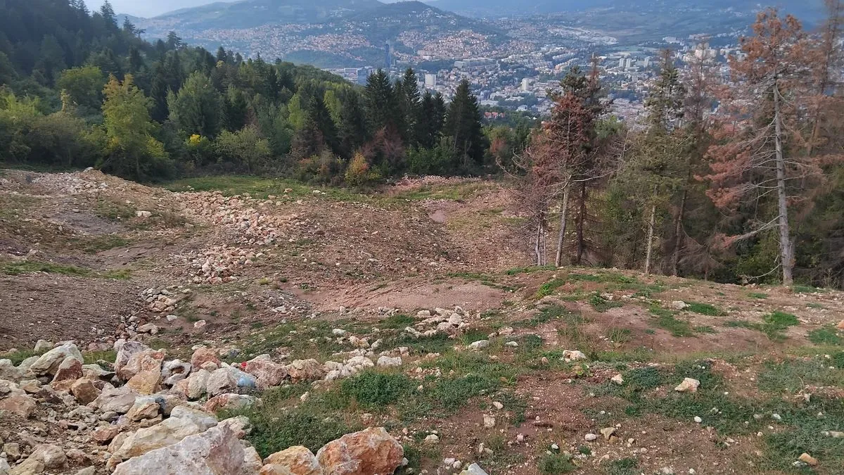 Šaljić upozorava na klizište: Vlada KS ima snagu, moć i brzinu baš kao onaj Lav u Pionirskoj!?