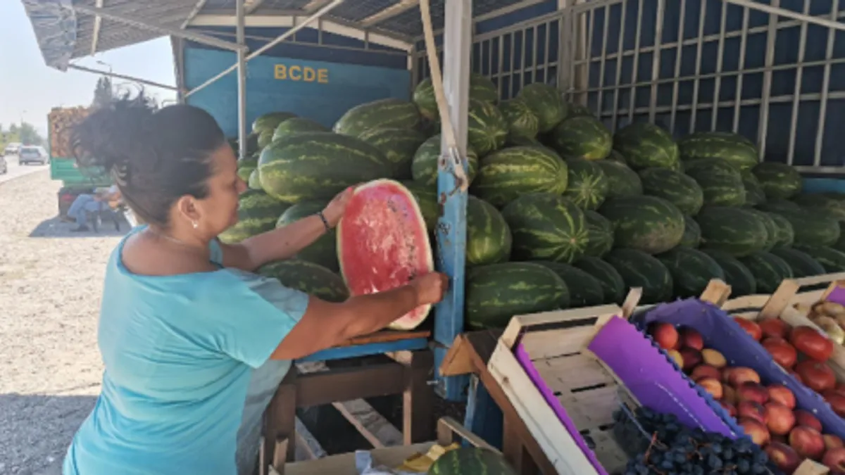 Malo povoljnija situacija je kod dinje, posebno kod proizvođača koji su osigurali siguran plasman