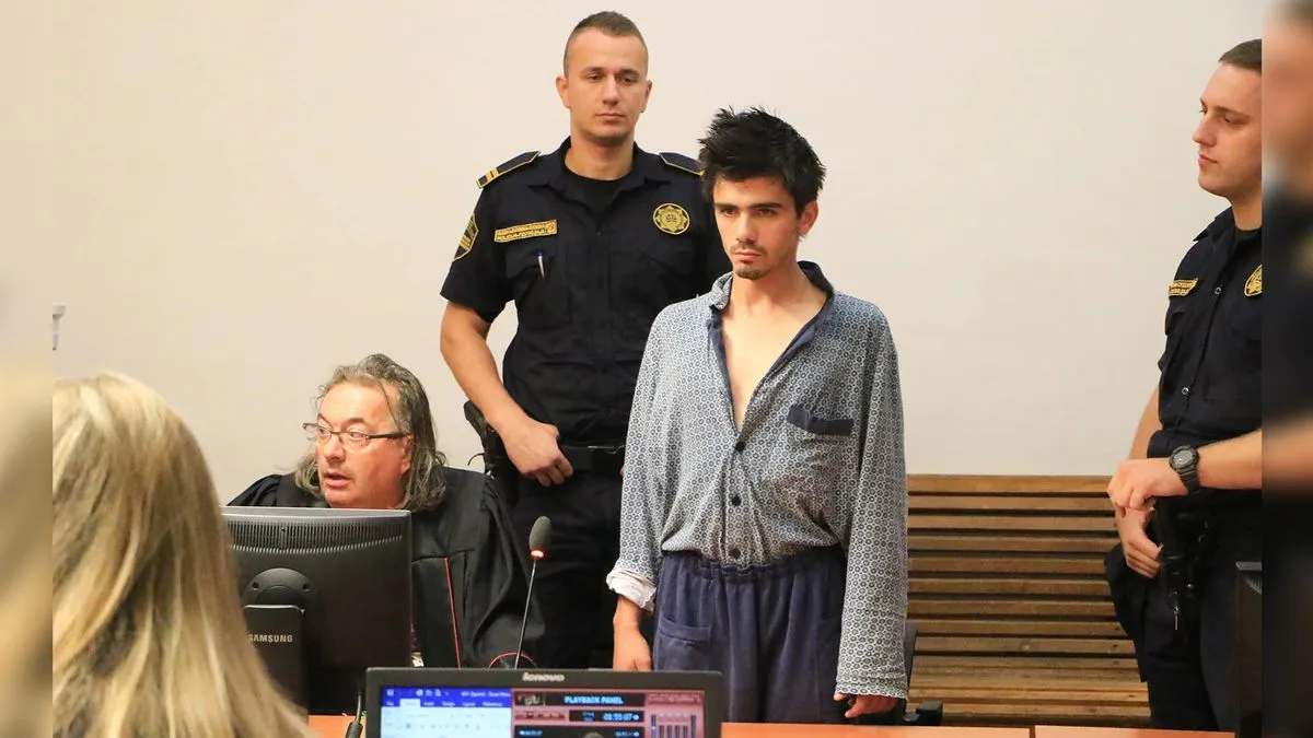 Tokom suđenja, tužiteljica je naglasila da je riječ o brutalnom napadu u kojem se Nadira očajnički branila 
