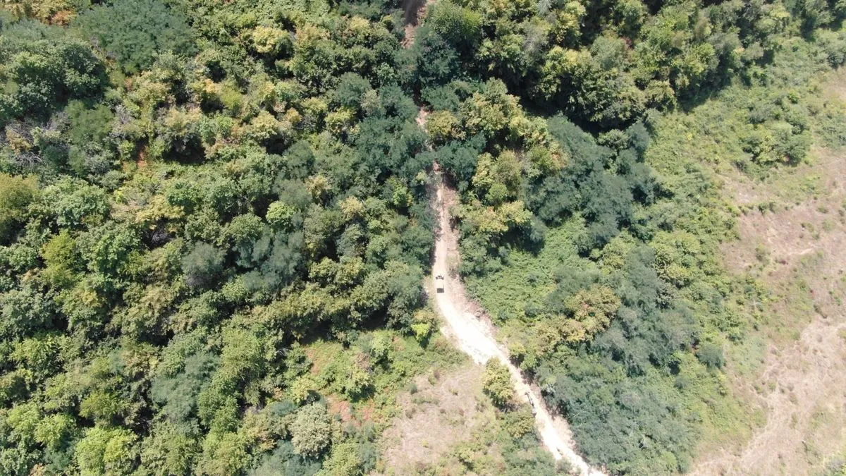 Lokalitet ‘Sjever Hum’ nalazi se na padinama brda Hum kojem se pristupa iz ulice Velešići Gornji.