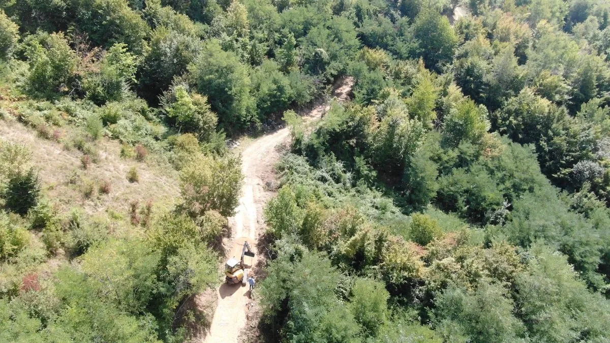 Lokalitet ‘Sjever Hum’ nalazi se na padinama brda Hum kojem se pristupa iz ulice Velešići Gornji.