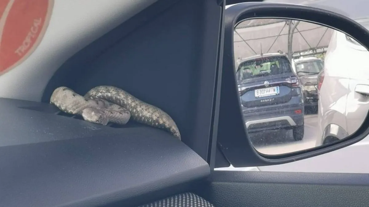 Objava je izazvala burne reakcije pratitelja, među kojima su prevladavali komentari straha