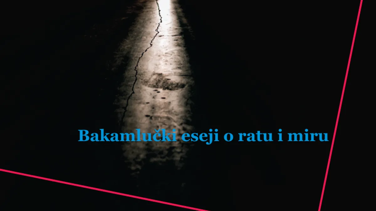Đenan Galešić objavio novu knjigu: Profili neprijatelja Bosne i Hercegovine
