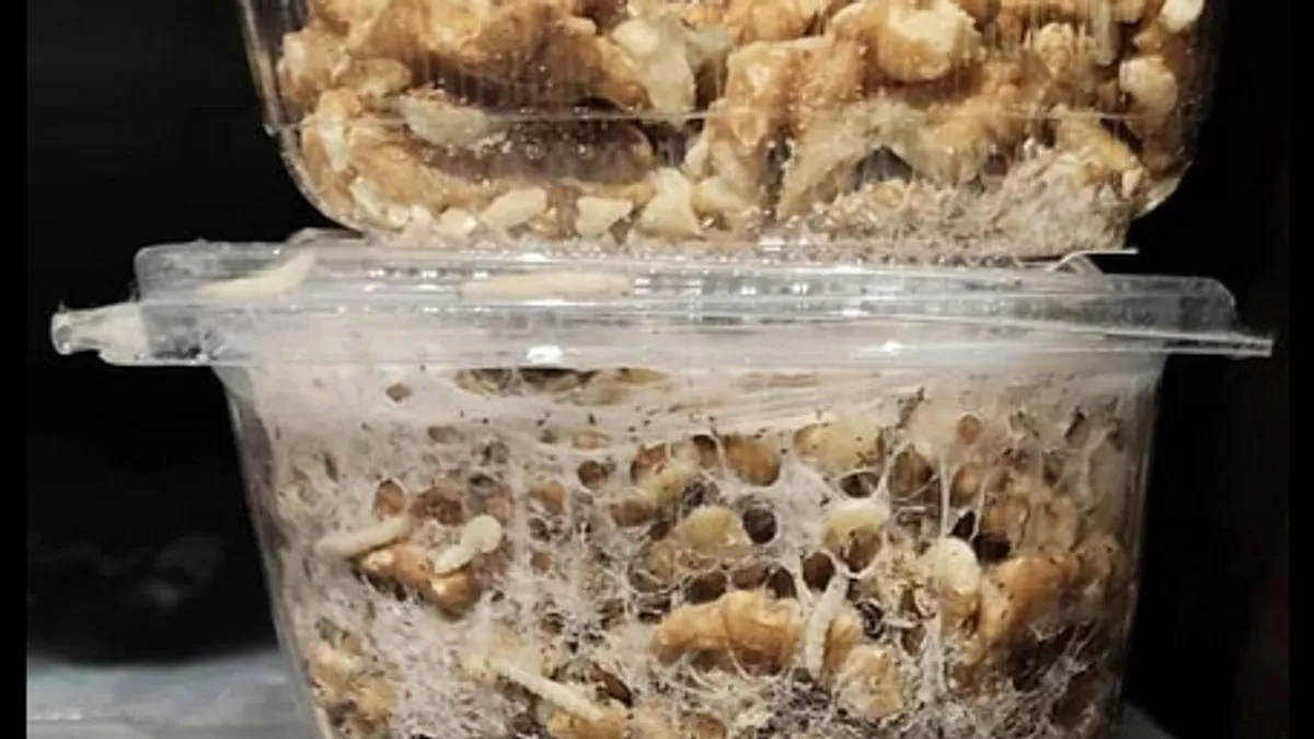 Ulazak u prodavnicu ponekad može biti poput ulaska na minsko polje - nikad ne znate kakvo iznenađenje vas čeka kada kupljeni proizvod donesete kući